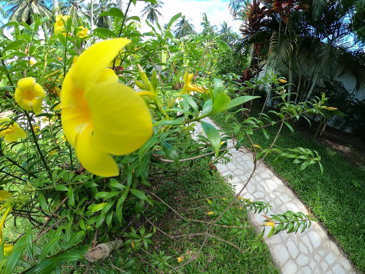 亚洲秘密度假村 拉迈海滩 外观 照片